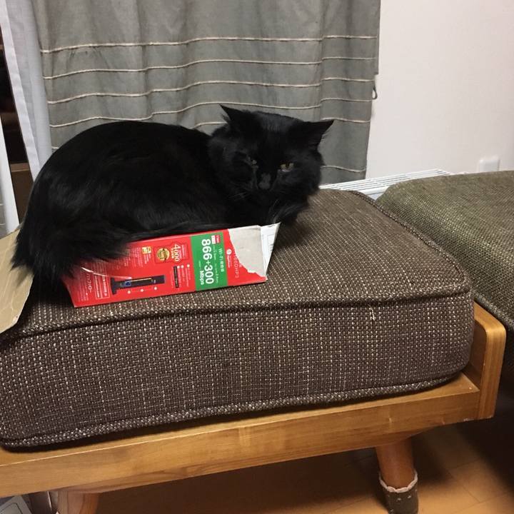 893dc81e f3f0 466d bd66 31324643dc43 1524047447707