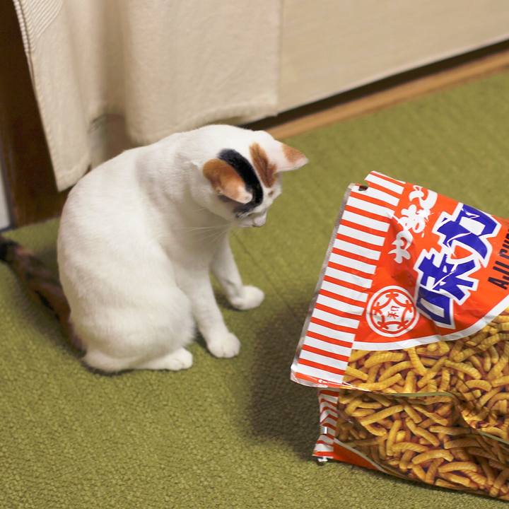 893df803 f615 4d6d 8f74 7bd1d329ea44 1568934930125