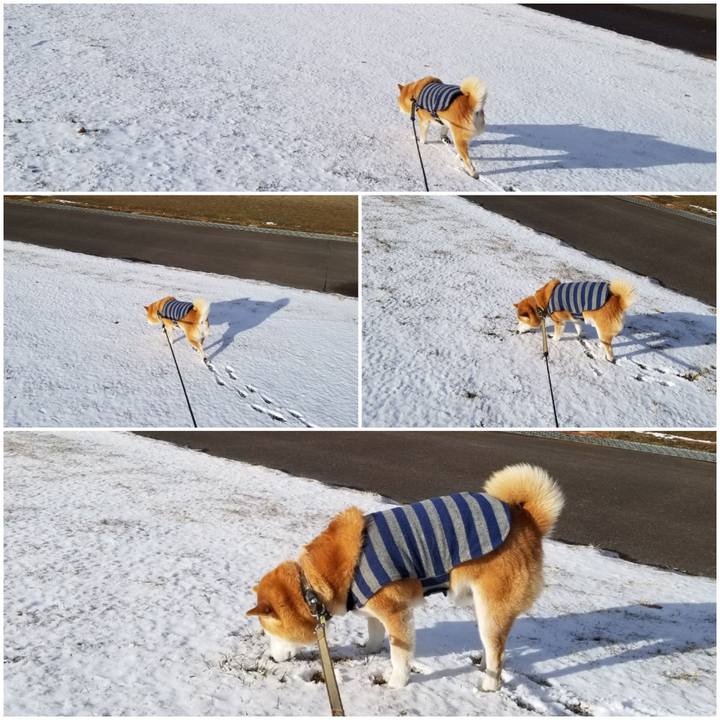 893e05b1 b787 4fe6 85e1 1c832a962878 1671772749874