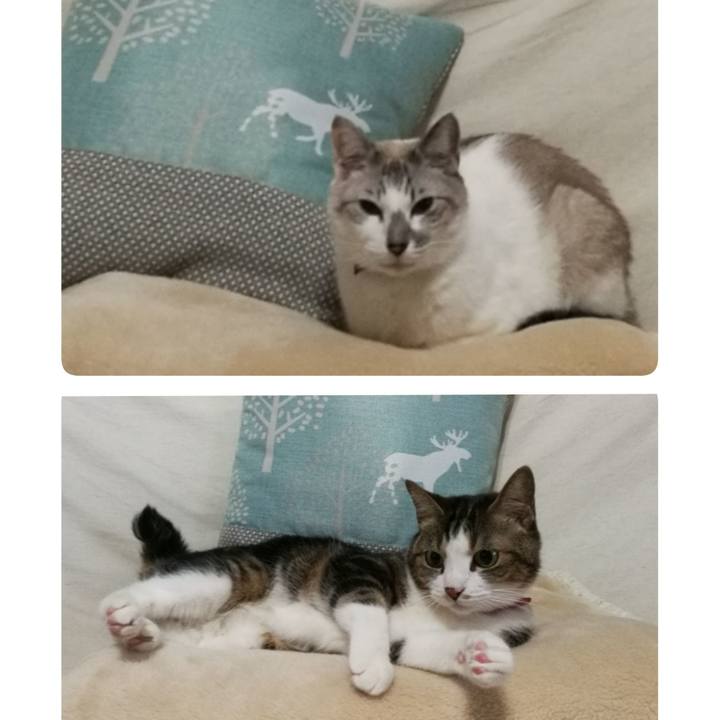 893e21e4 a1f5 4f29 adee 5f60478070b1 1516441410128