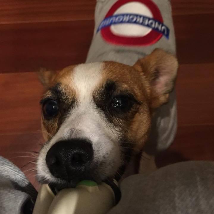 893e41e2 4f7e 442c 9514 3d709c024288 1697985809144