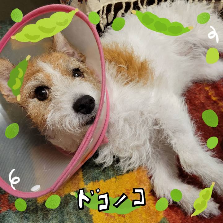 893e6836 94a8 4007 9078 8f4395818fa8 1721296405464