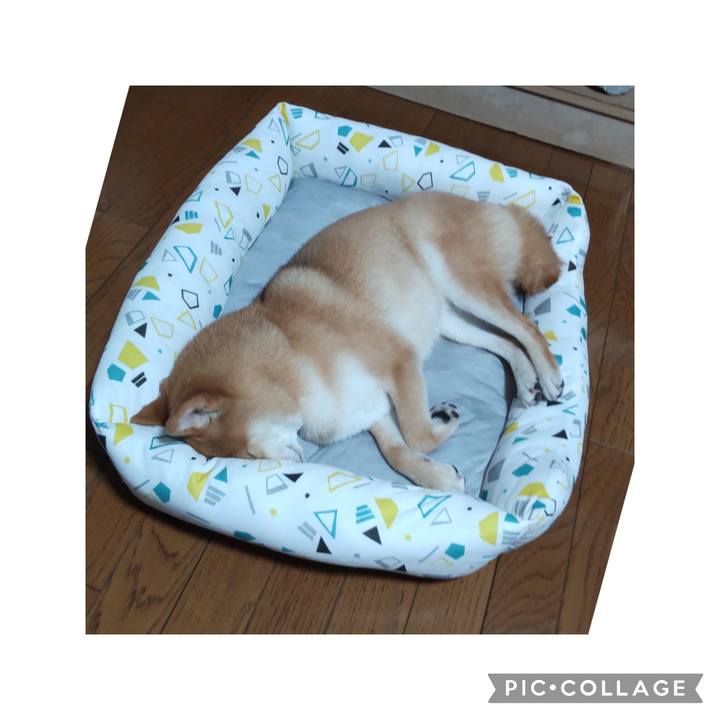 893ed139 f5f0 458b 93a0 dc288d13f23b 1688612697347