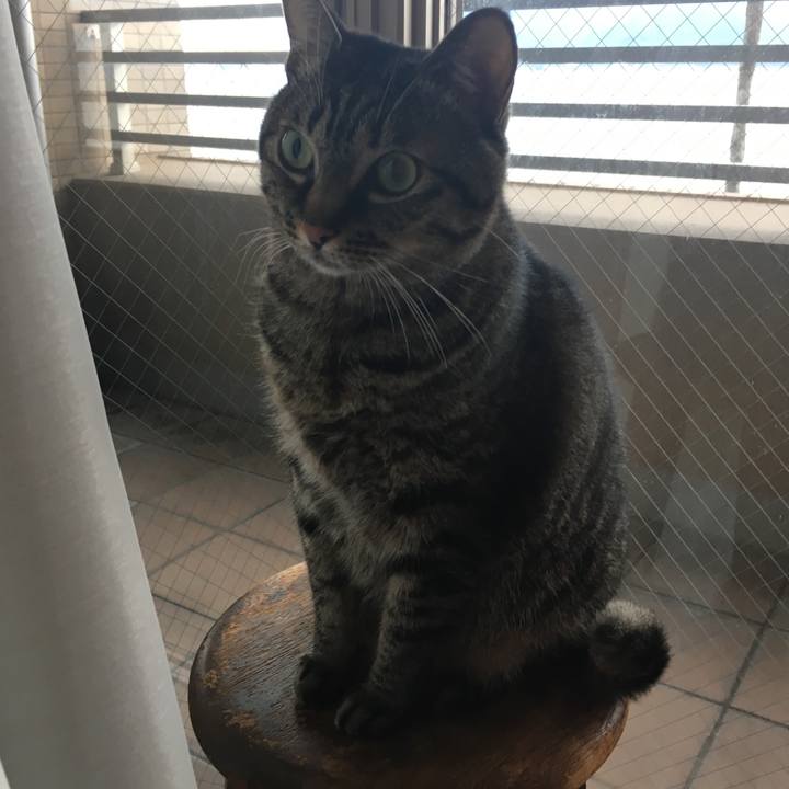 893f2935 e655 4b0f b66f 1ff8e9a64e24 1544263464681