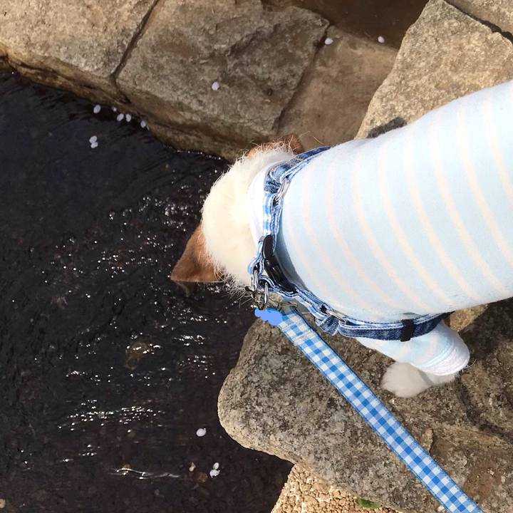 893f568c f46c 4107 b311 414bde128947 1554450936157