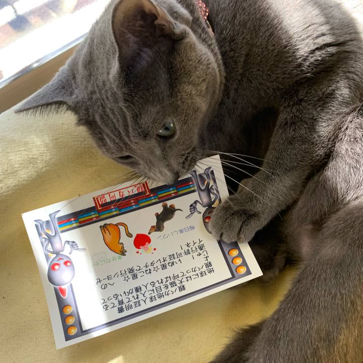 893f7a92 9af8 4e4e bc13 6502e57d5b4e 1573023873440