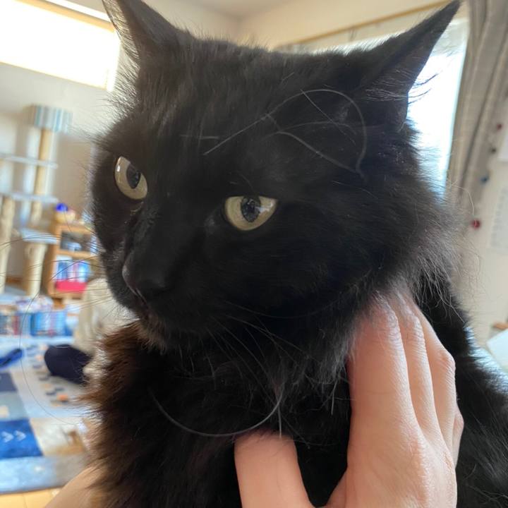 893f9ed0 7f30 4e4e 9117 86efd8b7055c 1584763997503