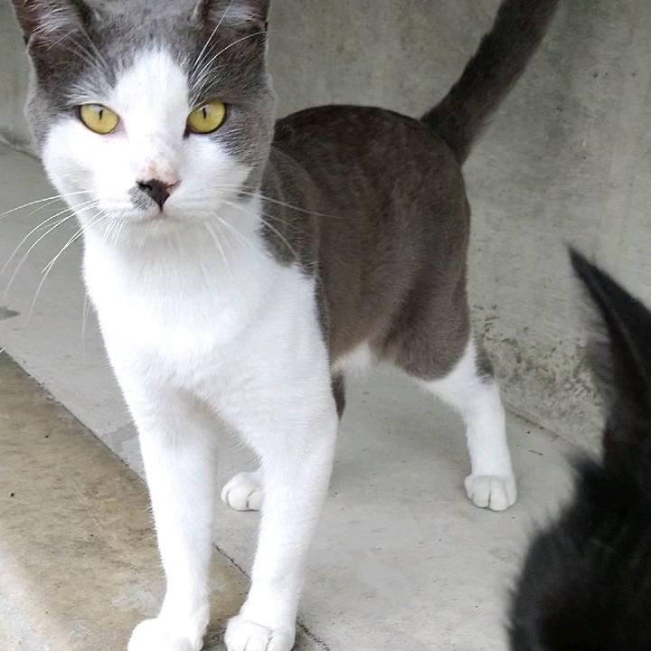 893fb0dc 45d4 4973 a623 0e134a8b9f5b 1596410394620