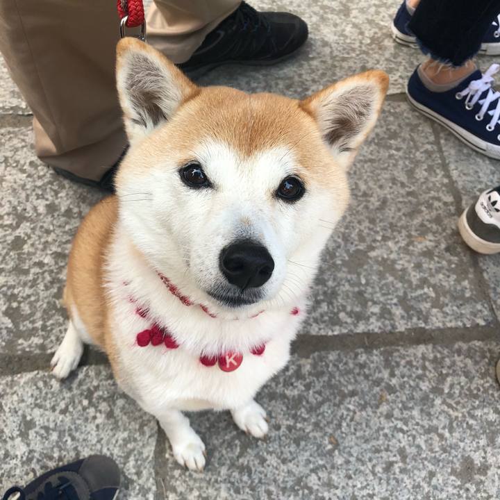 893fdc20 e12f 4727 bbe3 92229923a948 1641201543523