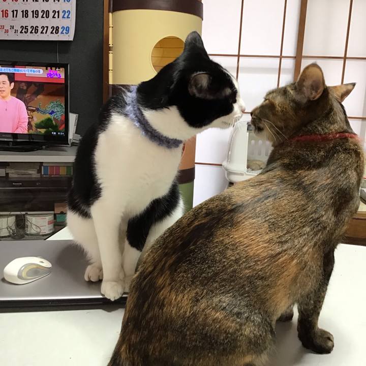 893fe558 72b0 4a5c ac55 234e085f4332 1643413918118