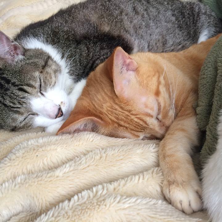 89401daf 3d6f 45ee 8586 c83d22bb9ea3 1525190473621