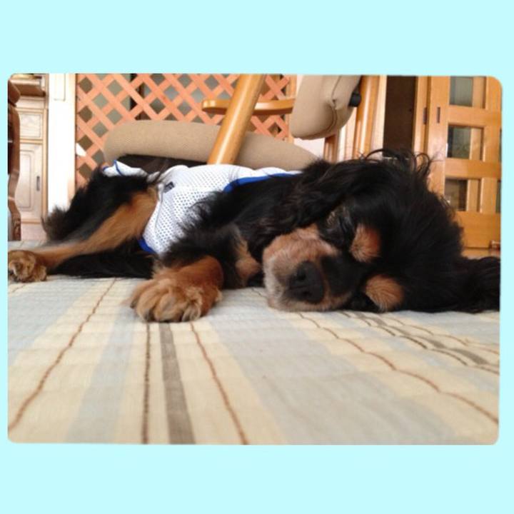 8940a33b 1110 4b26 9e44 bd70e77d44d5 1524960799847