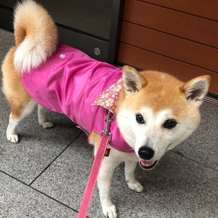 8940e769 b177 4ad7 a640 a3560f2db5ec 1593470914403