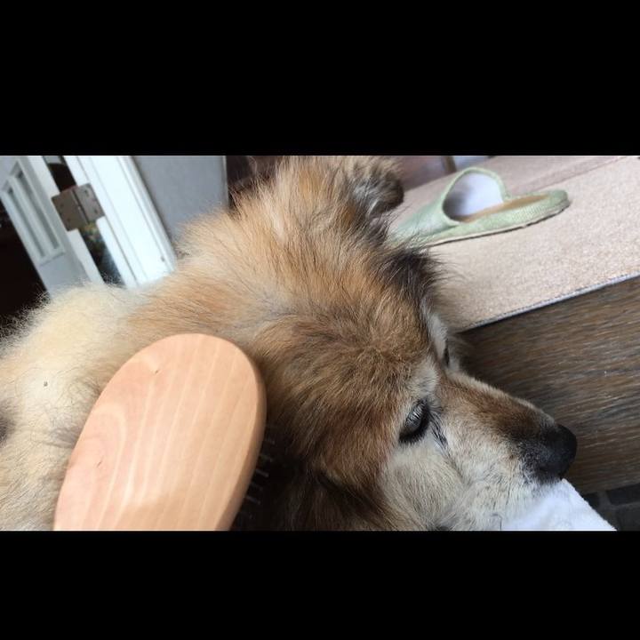 8940ecd6 887a 4716 af02 4555b05ad862 1608074940969