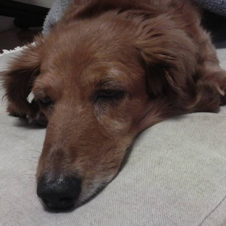 8940fbaa b26b 4b70 99ea 77e86c1e3c8f 1554400118920