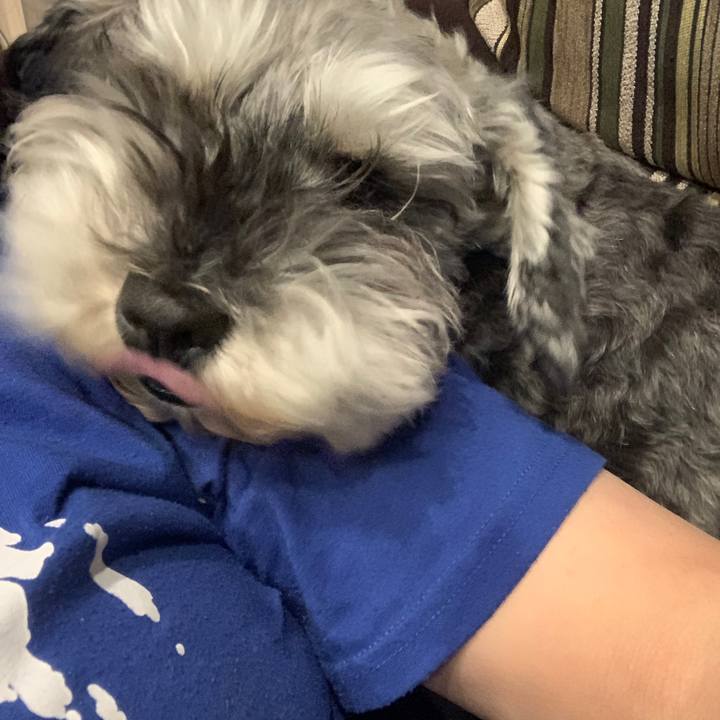 89411c77 3138 4332 8650 6bc9a9e88be4 1617885303430