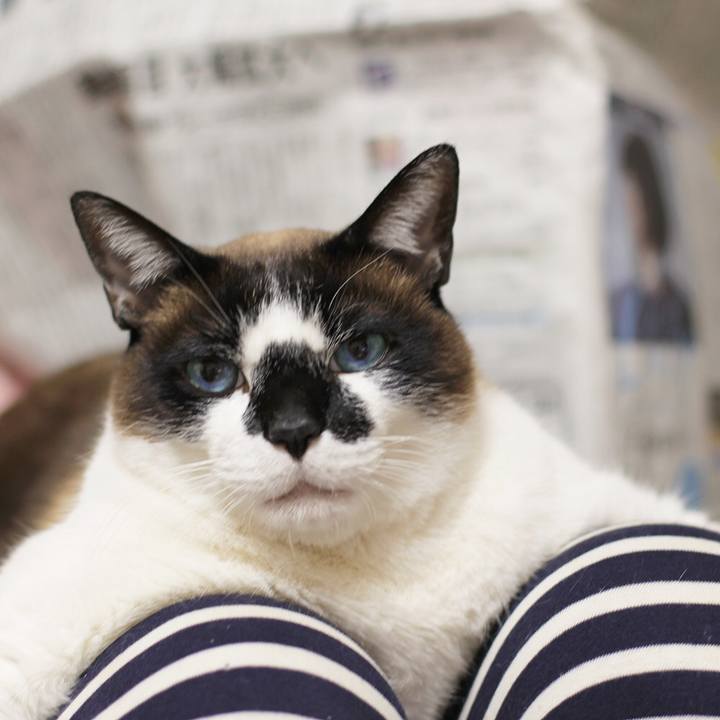 89412aa0 a40c 429d b3e9 93b1129c93b7 1542241242687