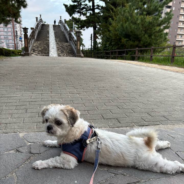 89412fb0 1257 4582 a268 9bcbaa32cd66 1759524981520