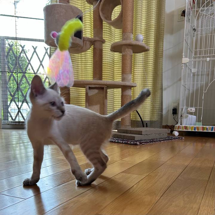 89413892 5041 4b9f 8b25 a62457e371b6 1722636551456