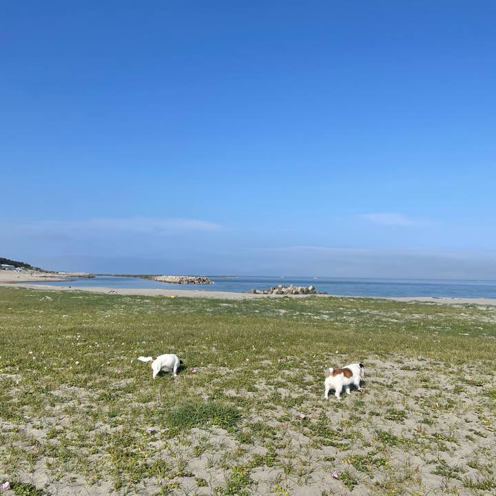 894180a4 6b3b 4562 924d d4be557c7773 1684195547902