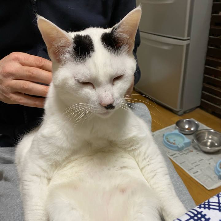 89418104 fdb8 4f3a 900e 558a388047d4 1582891174089