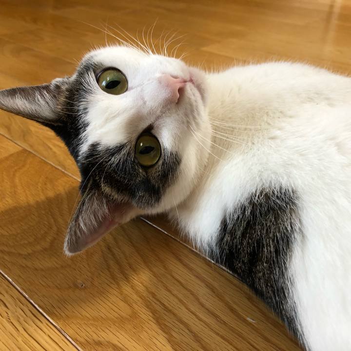 894192d8 4060 4878 8a9e b4d80b8629f0 1628142614255