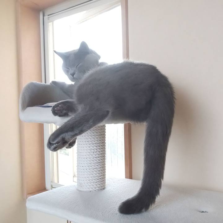 8941a194 df3b 49d8 9b42 830575e1ce75 1536285272037