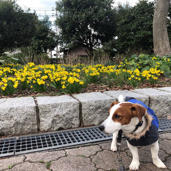 8941d922 2305 45ce 9c2b 63726b502371 1552291821698