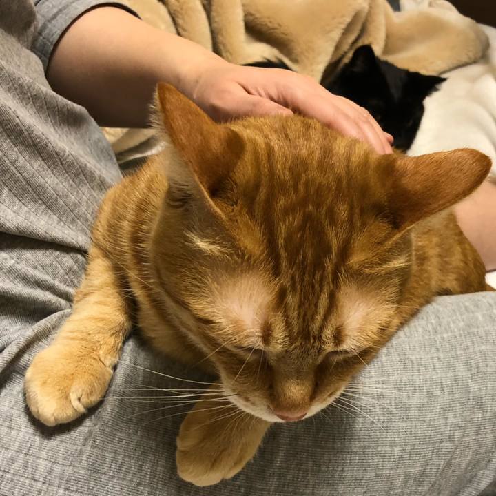 8941db79 ca2b 4822 a2ad 198013313309 1575494463552