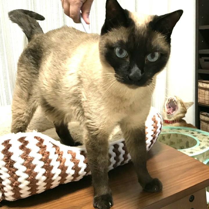 8942036f d9f3 40d7 8291 22da3f06f7f3 1524224100152