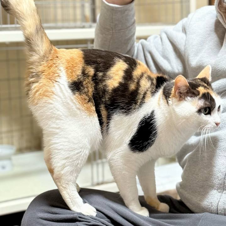 89420943 e319 4214 ba7a 880b3408212b 1737855812310