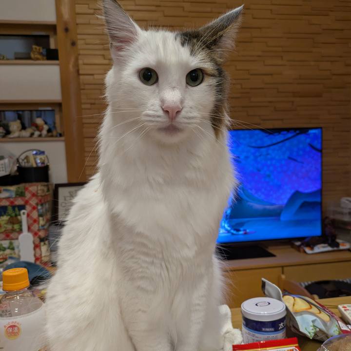 89422298 85e3 4942 9741 41afa33f2c4b 1762517699469