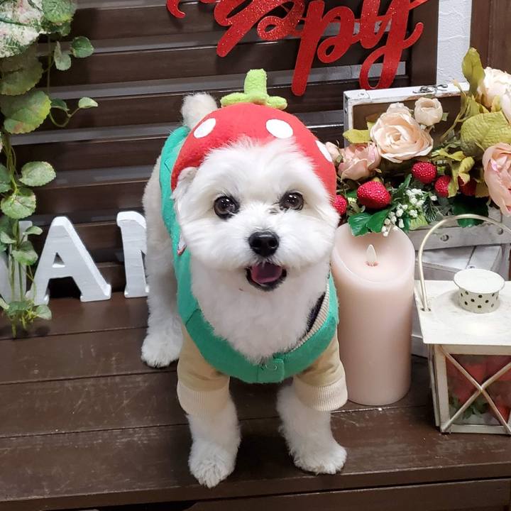 894229d1 cf0b 441f 9b2f 740587c19759 1775567213579