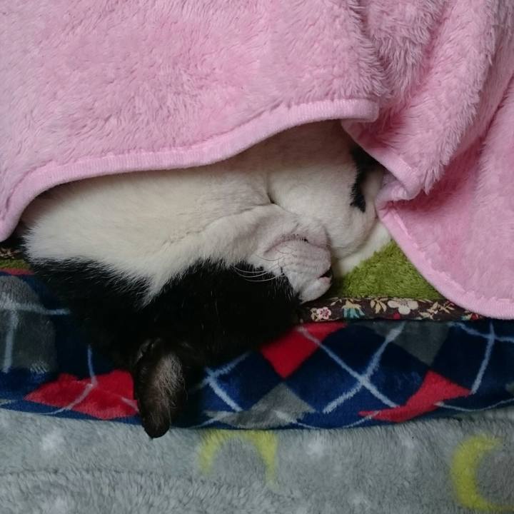 89423a89 563e 44d7 a2e3 fe951d487aa8 1508938093640