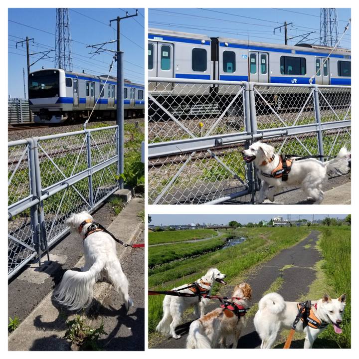 89424444 9011 44a2 9f21 2578eea22864 1683203714053