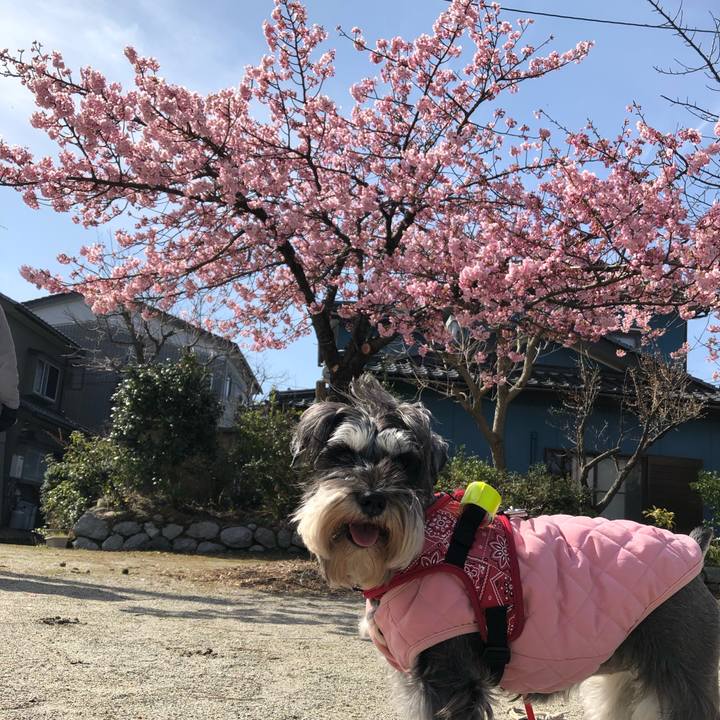 89429a4a 2913 4061 891c 205efab5bb9d 1583589631056