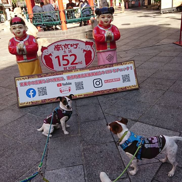 8942ab1c 5dc1 4ce6 8e83 1f752d723826 1605773876119