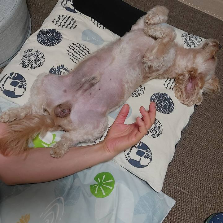 8942e64f 84e5 4c75 a081 2bf78d76c407 1630906394399