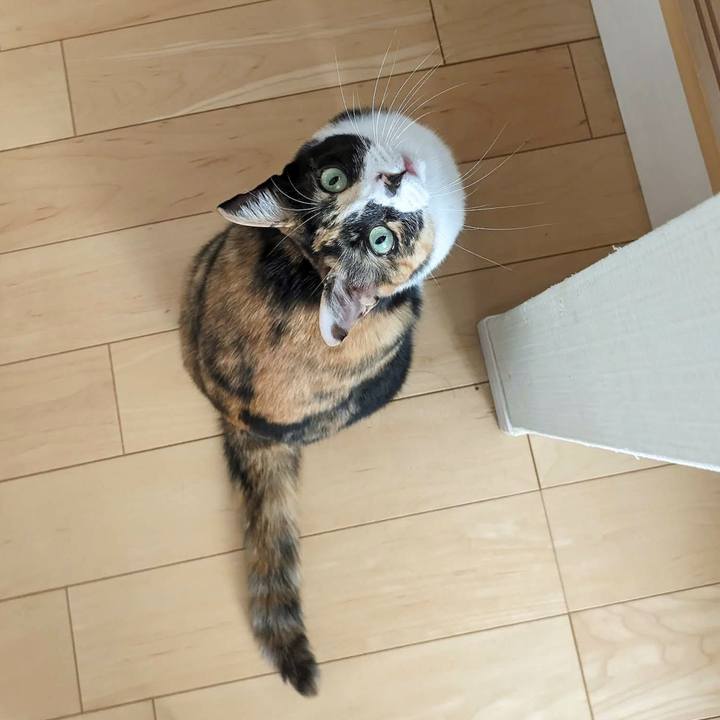 89430486 bdef 4b59 8dce 186e4ea928f6 1690703491271