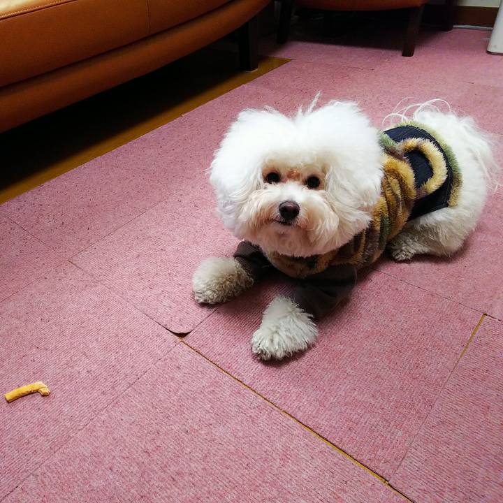 8943233b e466 444d ab5e 81b1ab13231c 1547709772789