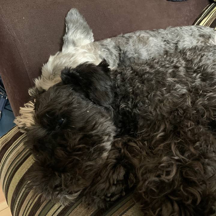 89436fde 6d27 4e45 a633 5d670a460f2a 1649473509551