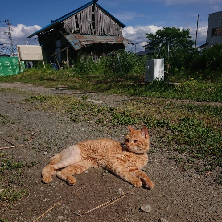 8943dbf5 b53b 4732 8b4e fcd4bae25994 1655103825391