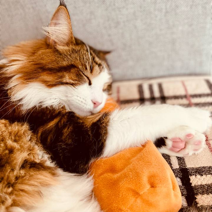 8943f654 468f 42f2 b686 69a7972d9adc 1667444199320