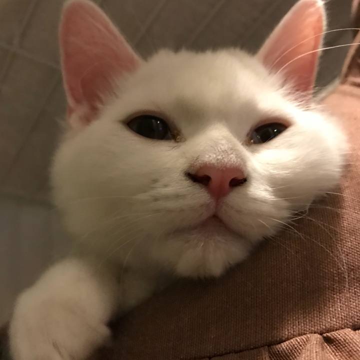 89440301 bbfc 4615 a075 f3eb190b2c0e 1510145780815