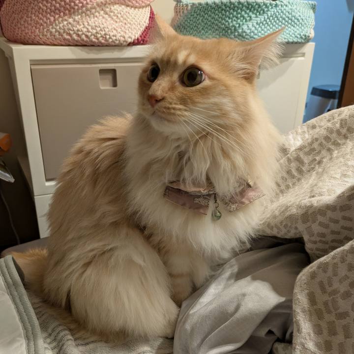 8944838e 1ba5 41c7 8125 0de6db93a326 1742644325411