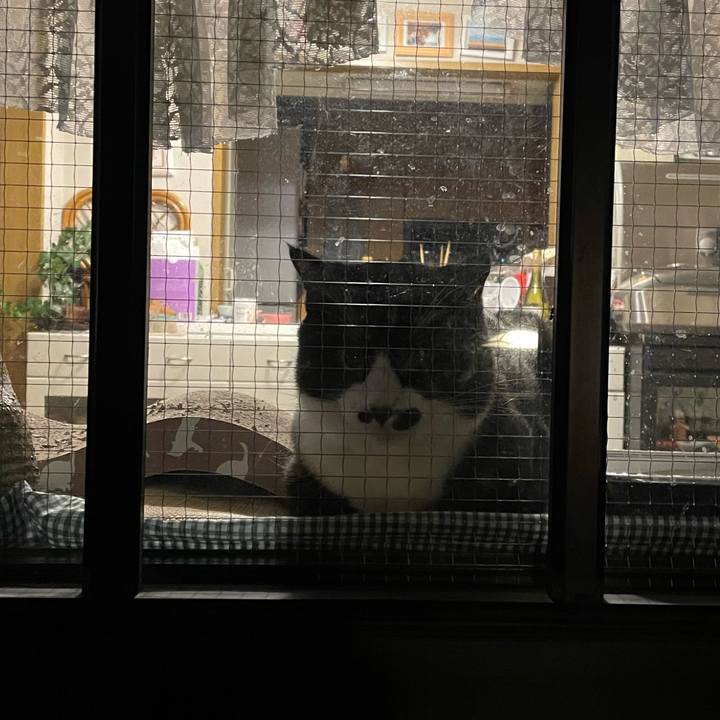 89449068 416f 46cb 83c5 e0c06fcb0b90 1650700589471