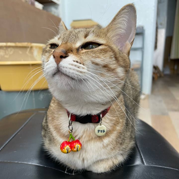 894491e6 d168 4661 a1ac ddf8976aa0bd 1684037170934