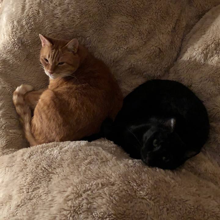 8944977e e7f9 4b9c ba57 a0228b76ed65 1675764852529