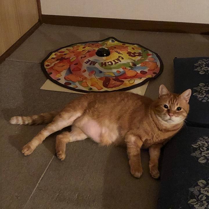 89453749 671a 47be 9265 66f4b849b43b 1680521625411