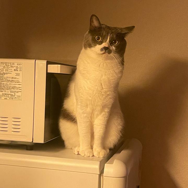 8945647c 83bb 44e0 bbcd 6864b49c0a5d 1729419301472